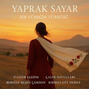 Kırmızı Gül Demet Demet