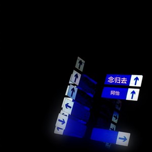 难渡半生封面