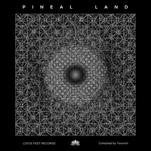 Pineal Land