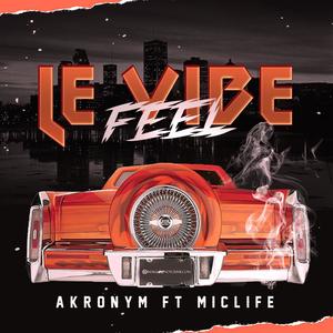 Feel le vibe (feat. MicLife) (Radio Edit|Explicit)