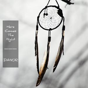 Here Comes The Night