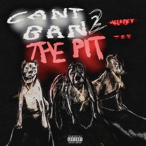 Cant Ban The Pit 2 (Explicit)