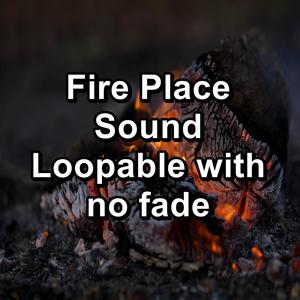 Fireplace Background in the Nature Loopable for Babies