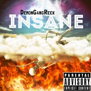 Insane (Explicit)