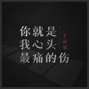 你就是我心头最痛的伤 (伴奏)
