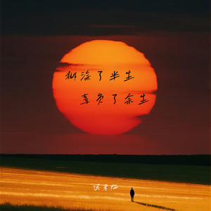 糊涂了半生辜负了余生