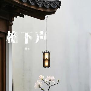 檐下声 (琴声慢诉山河)