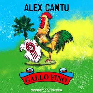 Gallo Fino (Explicit)