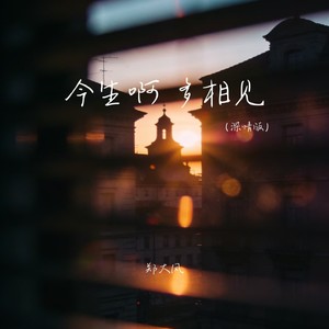 今生啊多相见 (深情版)