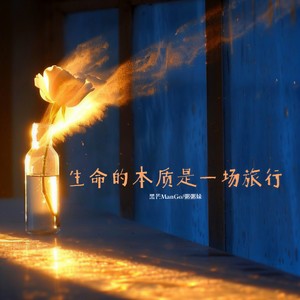 生命的本质是一场旅行