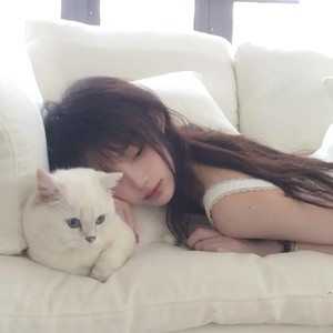 9277 (降调变速版1.1x)