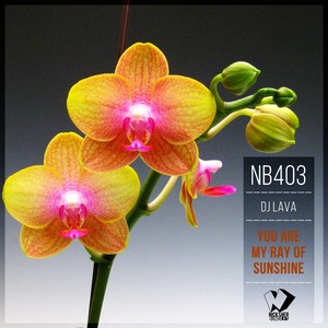 You Are My Ray of Sunshine (Original Mix)