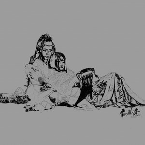 风华册