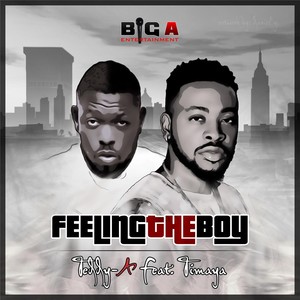 Feeling the Boy (feat. Timaya)