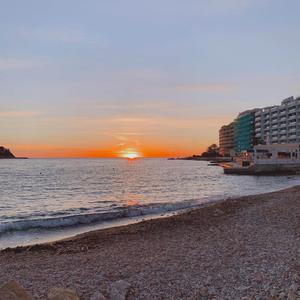 PALMA (2025 VERSION)