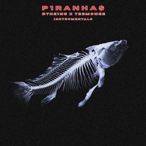 I HOPE THIS SONG FINDS YOU WELL (INSTRUMENTAL)