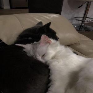 Low<3(feat. Septembahh) (Explicit)