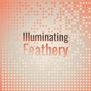 Illuminating Feathery