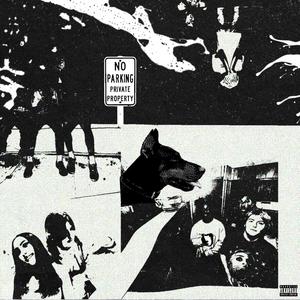 Law & Order (feat. Zroy) (Explicit)