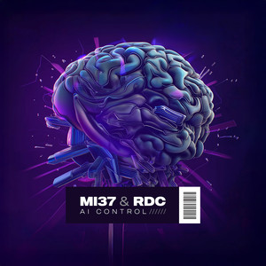 AI Control (Extended)