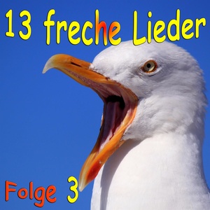 13 freche Lieder Folge 3