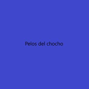 Pelos del Chocho