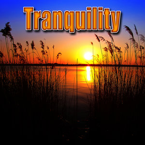 Tranquility (Nature Sounds)