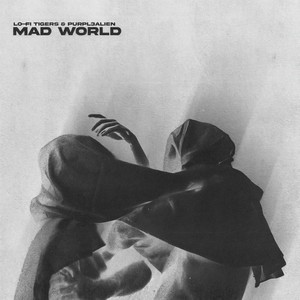 Mad World (Lo-Fi Cover)