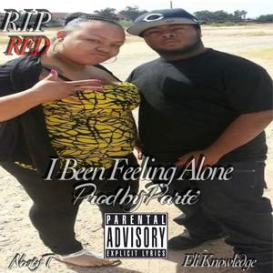 i Been Feeling Alone (feat. Nasty-T & EliKnowledge) [Explicit]