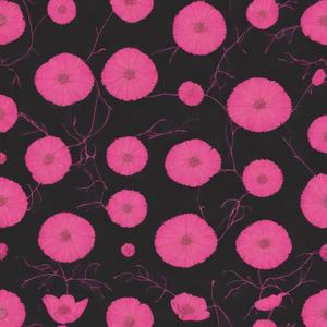 Verem a faszom (Explicit)