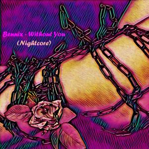 Without You(Nightcore)