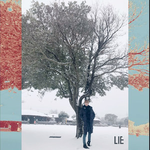 No. 5 - LIE