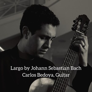 Violin Sonata No. 3, BWV 1005 - III. Largo (Arr. for Guitar)