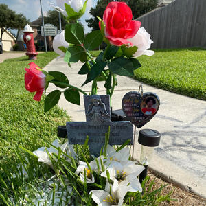 IT'S YOUR LIFE YOU OWE (Explicit)