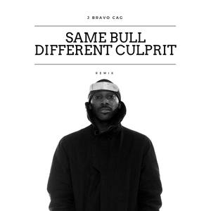 Same Bull Different Culprit (DJ Agent M Remix)