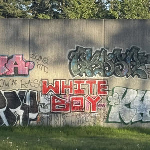 Bruce Lee (Explicit)