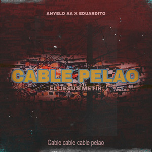 CABLE PELAO