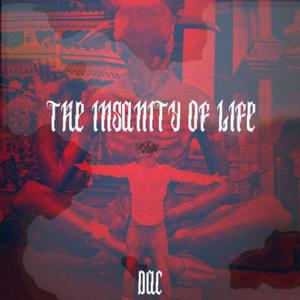 The Insanity of Life (Explicit)