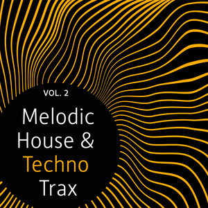 Melodic House & Techno Trax, Vol. 2