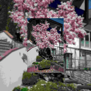 Cynthia No Longer Afraid