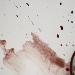 KISSITOFFME (Explicit)