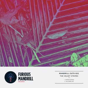 Mandrill Cuts 022