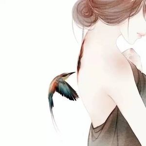 锦鲤抄