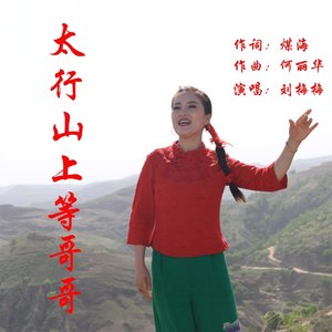 太行山上等哥哥