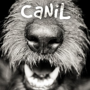 Canil - Single