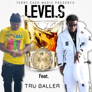 Levels (Explicit)