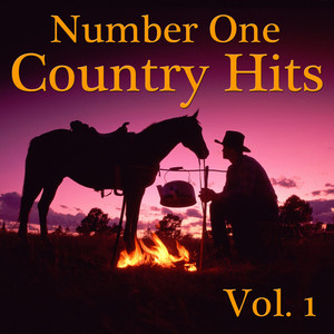 Number One Country Hits, Vol. 1