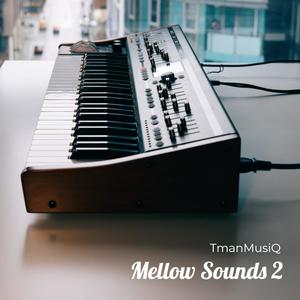 Mellow Sounds 2