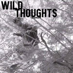 Wild Thoughts (Explicit)