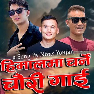 Himalma Charne Chauri Gai
